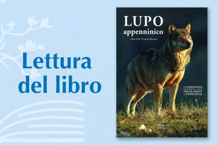 Lettura del libro: "Lupo appenninico" di Niso Cini, Cesare Moroni - Moroni Editore